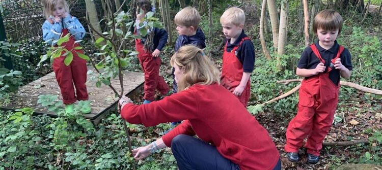 Forest School