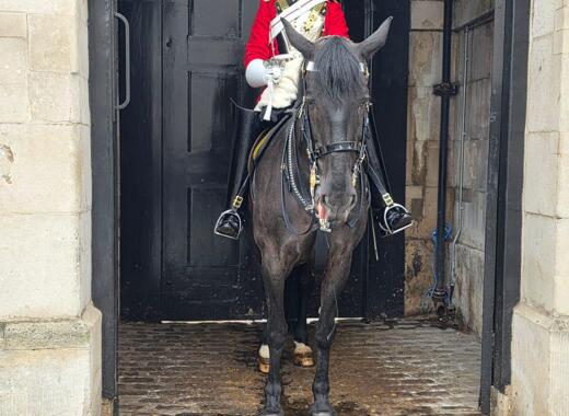 WhatsApp Image 2025 06 06 at 07.39.40